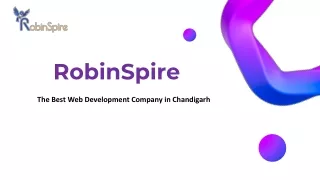 Robinspire.com - The Best Web Development Company in Chandigarh