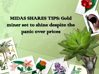 SCRIBD - MIDAS SHARES TIPS: Gold miner set to shine despite