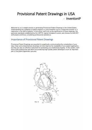 Provisional Patent Drawings in USA