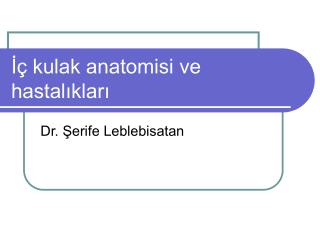 İç kulak anatomisi ve hastalıkları