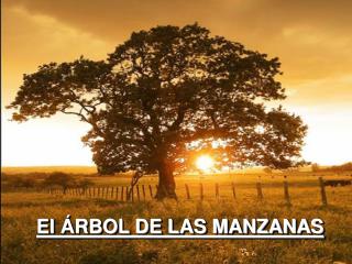 El ÁRBOL DE LAS MANZANAS