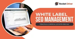 Discover the Power of White Label SEO Management at Rocket Driver