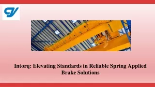 Intorq Elevating Standards in Reliable Spring Applied Brake Solutions