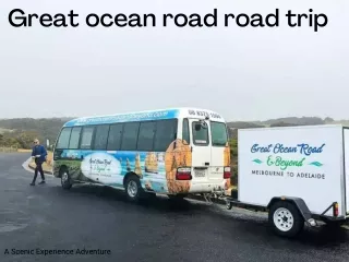 Great ocean road road trip