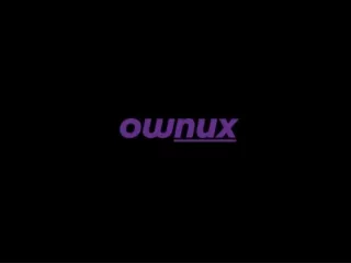 Ownux global Dec 2023