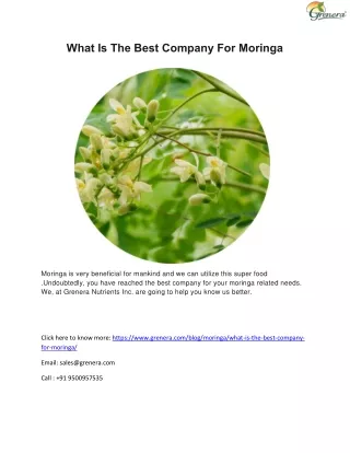 What Is The Best Company For Moringa