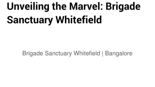 Unveiling the Marvel_ Brigade Sanctuary Whitefield