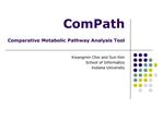 ComPath Comparative Metabolic Pathway Analysis Tool