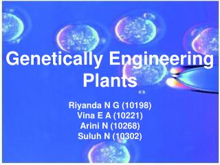 Genetically Engineering Plants