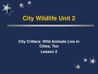 City Wildlife Unit 2