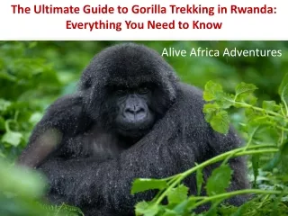 The Ultimate Guide to Gorilla Trekking in Rwanda: Everything You Need to Know