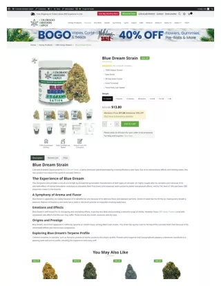 Ultimate Guide to Blue Dream Strain (Colorado Breeders Depot)