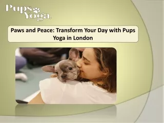 Paws and Peace Transform Your Day with Pups Yoga in London