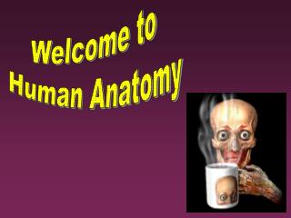 Welcome to Human Anatomy