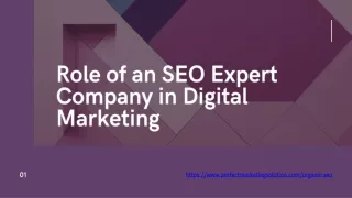 Role of an SEO Expert Company in Digital Marketing