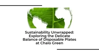 Sustainability Unwrapped: Exploring the Delicate Balance of Disposable Plates