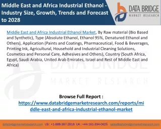 Middle East and Africa Industrial Ethanol Market