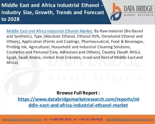 Middle East and Africa Industrial Ethanol Market
