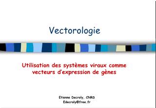 Vectorologie