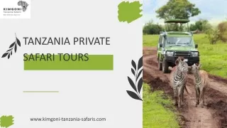 Tanzania Private Safari Tours