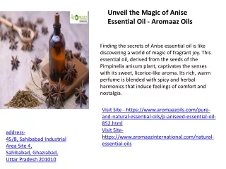 Unveil the Magic of Anise Essential Oil - Aromaaz Oils