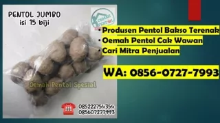 Open Mitra Penjualan! 0856 0727 7993 (WA) Oemah Pentol Spesial Cak Wawan - Pabrik Bakso Pentol Gede Mojokerto Gresik