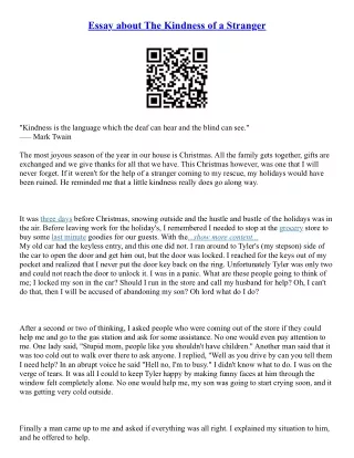 Stranger Essay
