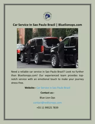 Car Service In Sao Paulo Brazil  Bluelionops