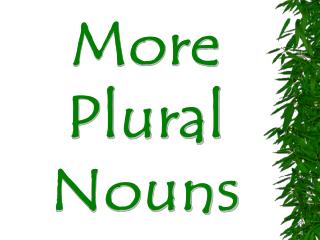 More Plural Nouns