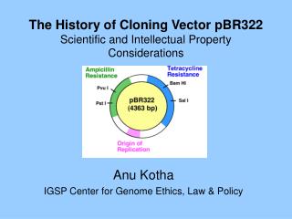 The History of Cloning Vector pBR322 Scientific and Intellectual Property Considerations