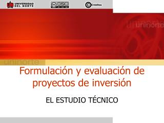 Formulación y evaluación de proyectos de inversión