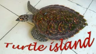 Bali33 Serangan Island