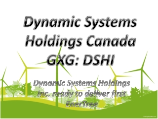 Dynamic Systems Holdings Canada GXG: DSHI ready to deliver f