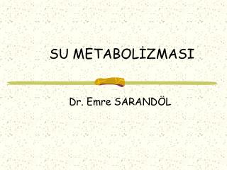 SU METABOLİZMASI