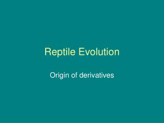 Reptile Evolution