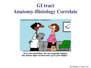 GI tract Anatomy-Histology Correlate