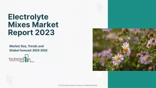 Electrolyte Mixes Market