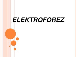 ELEKTROFOREZ