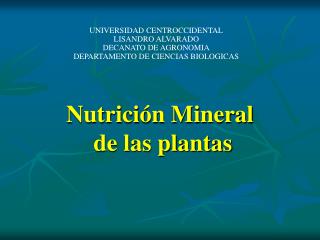Nutrición Mineral de las plantas