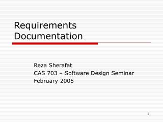 Requirements Documentation