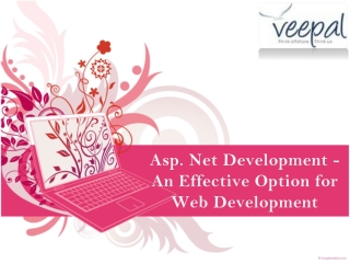 Asp DOT Net Development - An Effective Option for Web Develo