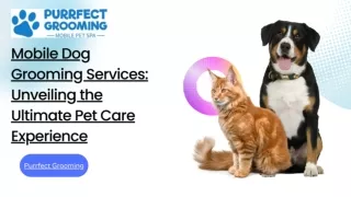 Mobile Dog Grooming Services: Unveiling the Ultimate Pet Care Experience