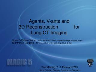 Agents, V-ants and 3D Reconstruction for Lung CT Imaging