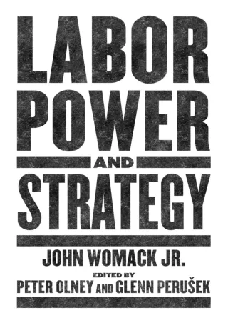 [DOWNLOAD]⚡️PDF✔️ Labor Power and Strategy