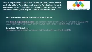 Protein Ingredients Market