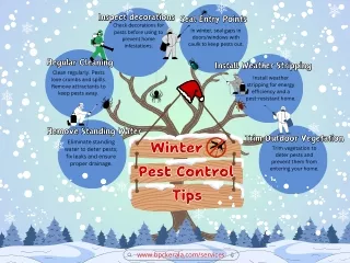 Winter Pest Control Tips | BPC Kerala