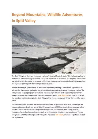 Beyond Mountains- Wildlife Adventures in Spiti Valley