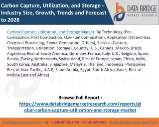 Carbon Capture, Utilization, and Storage Market