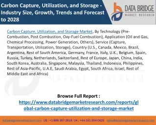 Carbon Capture, Utilization, and Storage Market