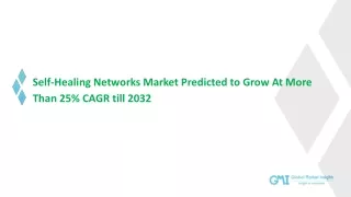Self-Healing Networks Market Growth Potential & Forecast, 2032